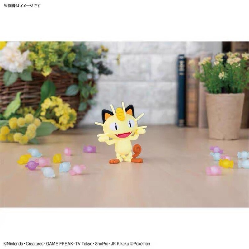 โมเดลพลาสติกแท้จาก Bandai Poke - Model Kit Quick Piplup บทวิจารณ์และราคา