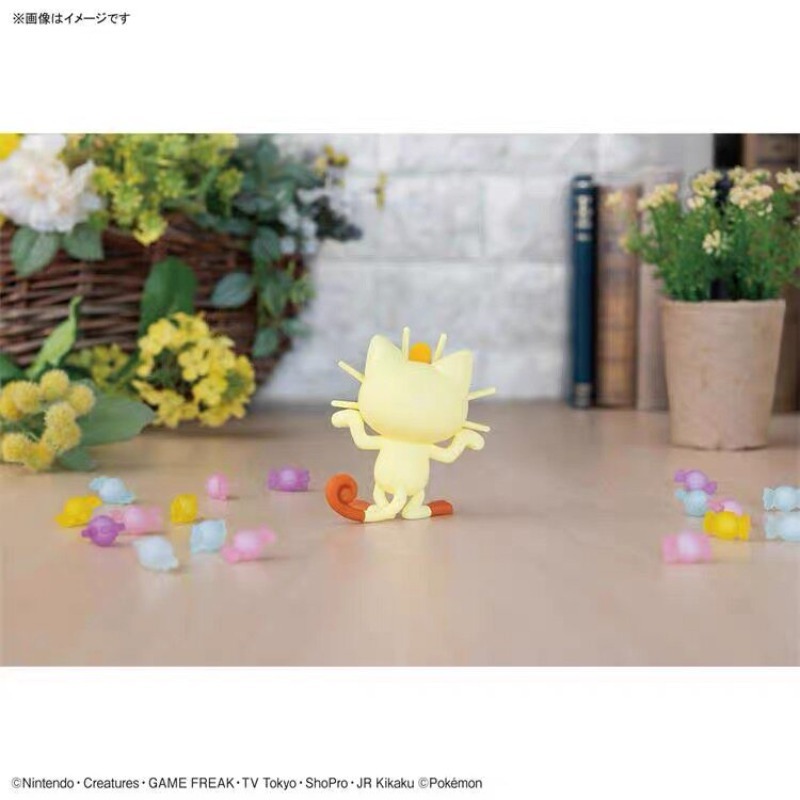 โมเดลพลาสติกแท้จาก Bandai Poke - Model Kit Quick Piplup บทวิจารณ์และราคา