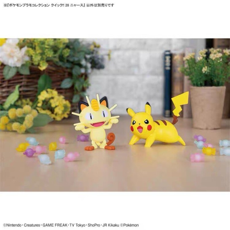 โมเดลพลาสติกแท้จาก Bandai Poke - Model Kit Quick Piplup บทวิจารณ์และราคา